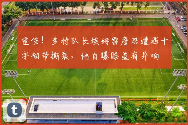 重伤！多特队长埃姆雷詹恐遭遇十字韧带撕裂，他自曝膝盖有异响
