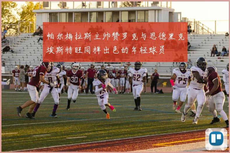帕尔梅拉斯主帅赞罗克与恩德里克埃斯特旺同样出色的年轻球员